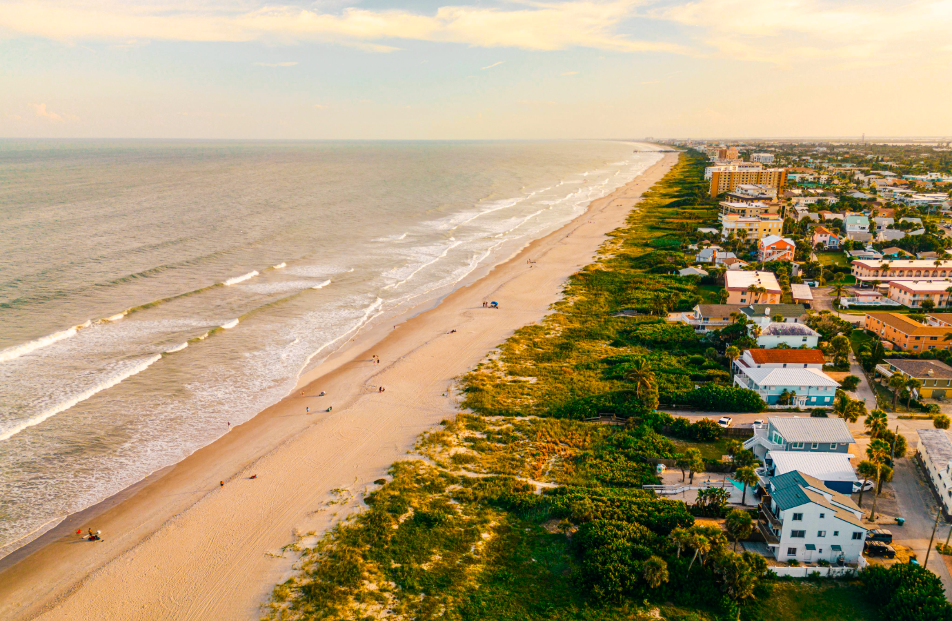 Volunteers restoring coastline dunes and natural habitat
