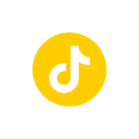 TikTok icon