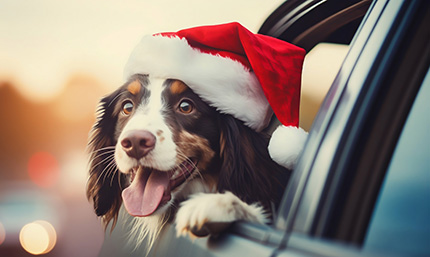 Why December is the Best Time to Buy a Car